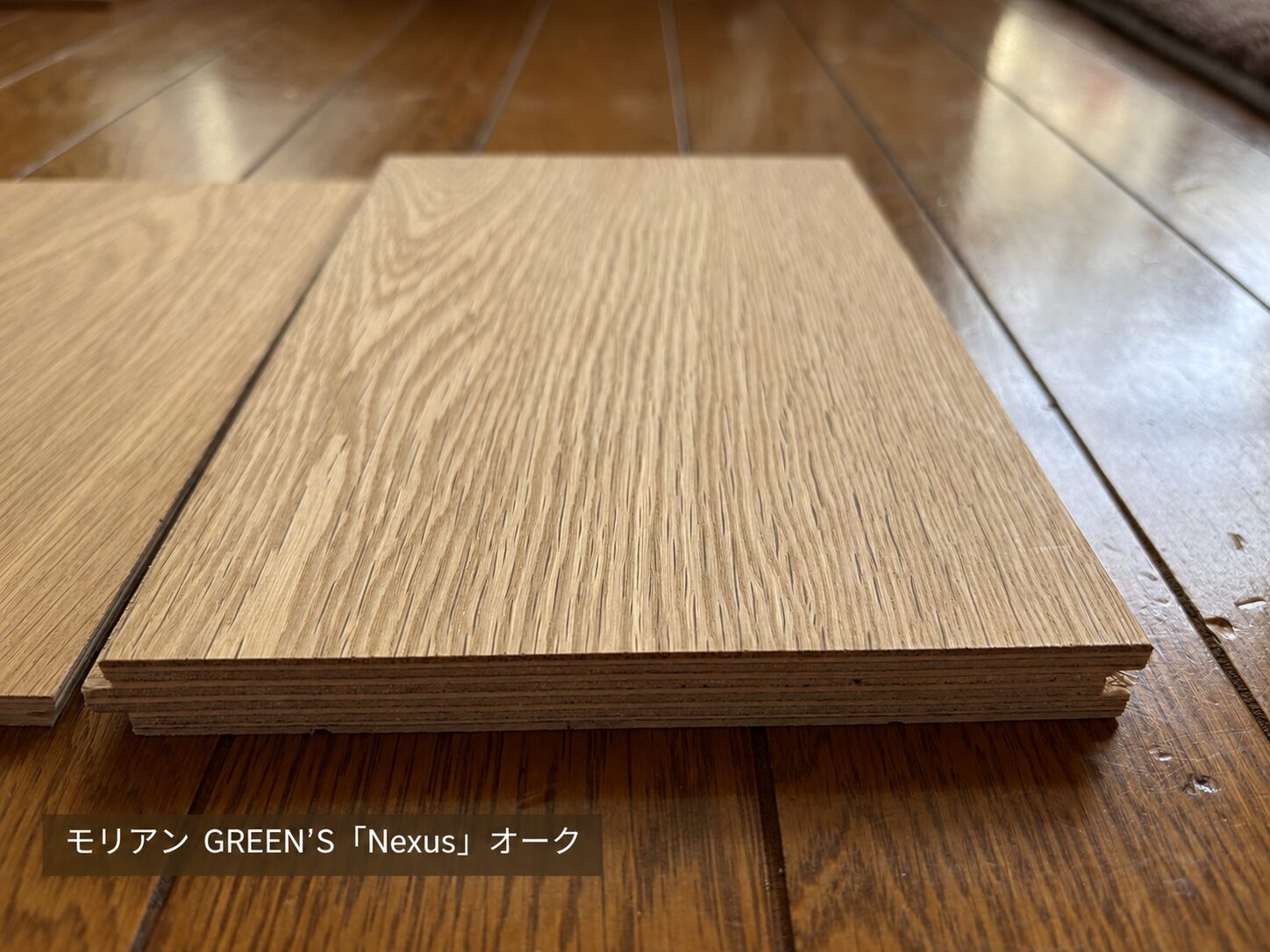 モリアン GREEN'S Nexus オーク 表面